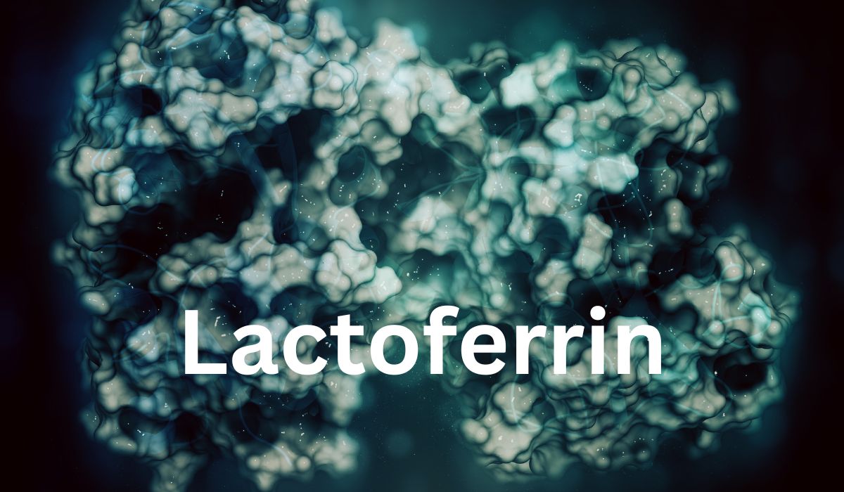 Lactoferrin is vital to enhance intestinal immune defense